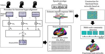 Detection of Brain Network Communities During Natural Speech Comprehension From Functionally Aligned EEG Sources